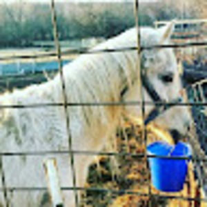 Meet your Posher, Alana